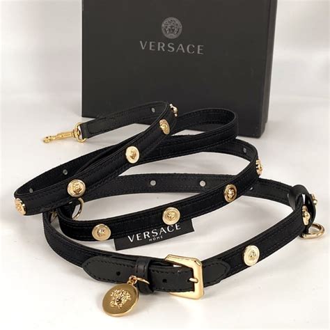 versace dog leash